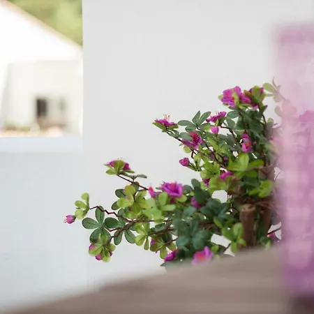 Beachside Cosy With Pool Apartamento *
